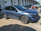 Ford Escape Sel Image 13