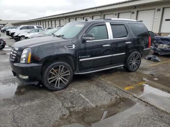  Salvage Cadillac Escalade