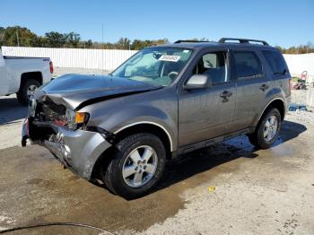  Salvage Ford Escape