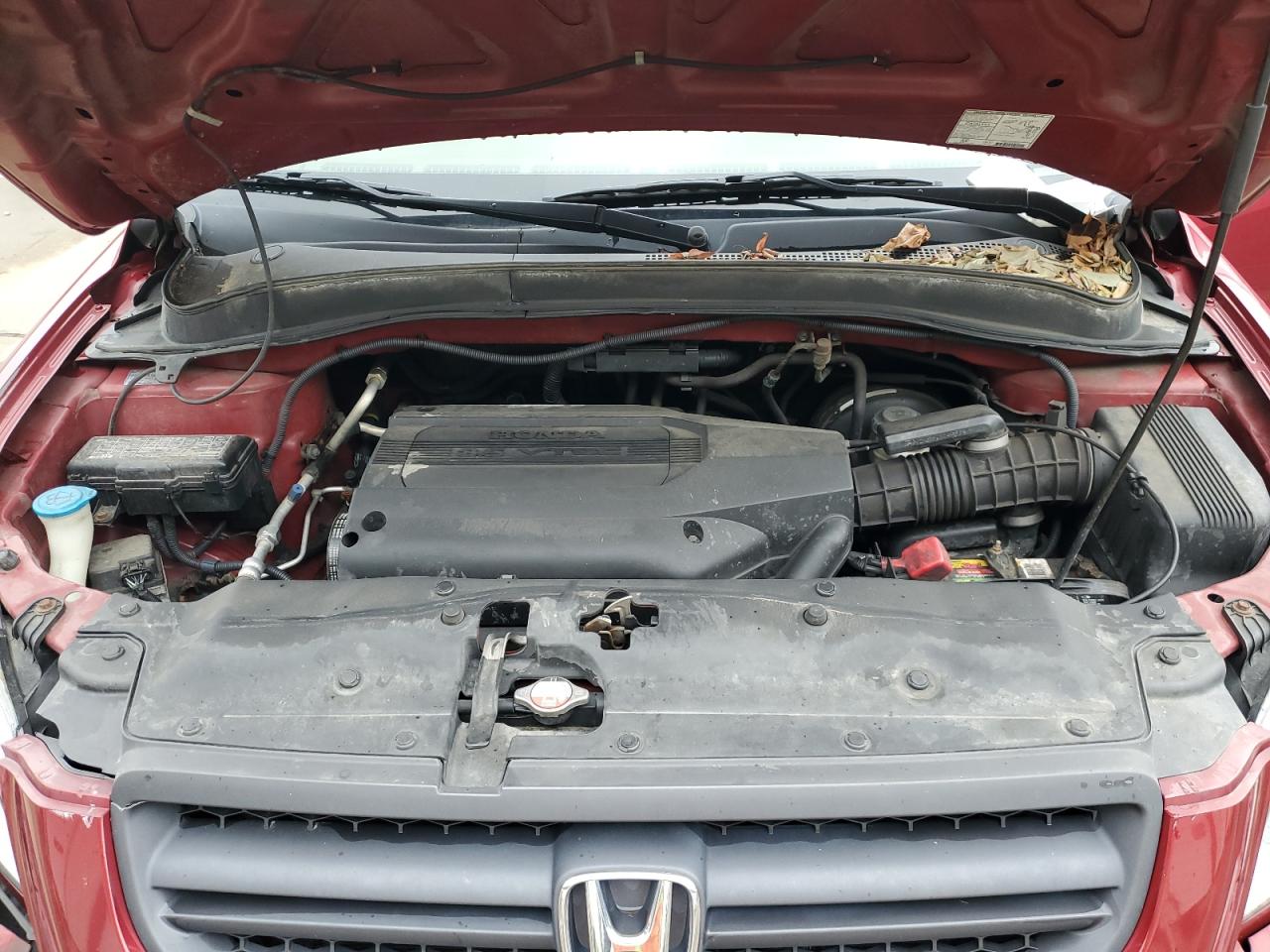 Honda Pilot Exl Image 7