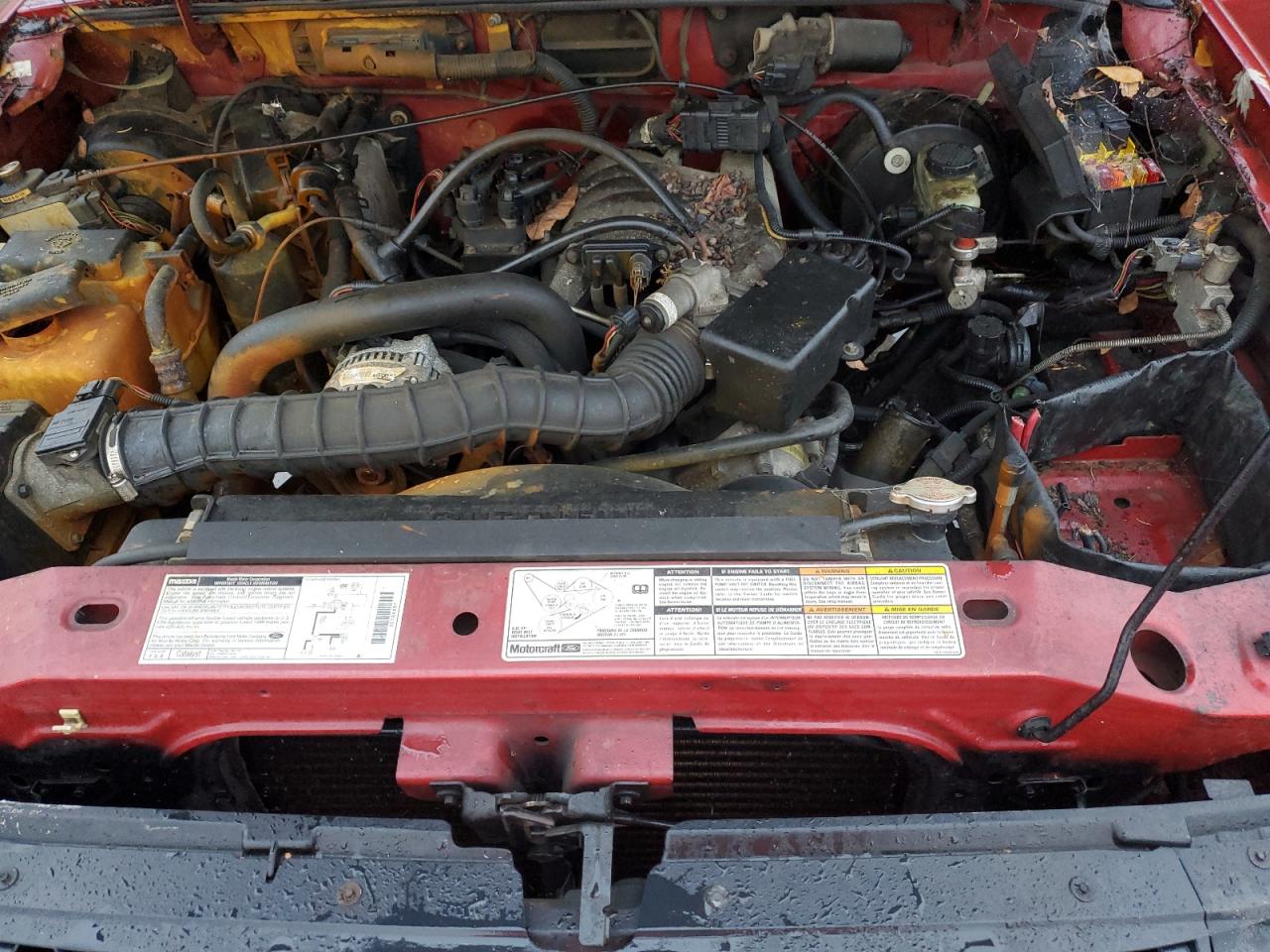 Mazda B Series Cab Plus Image 11