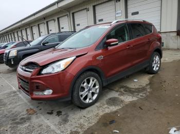  Salvage Ford Escape
