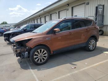  Salvage Ford Escape