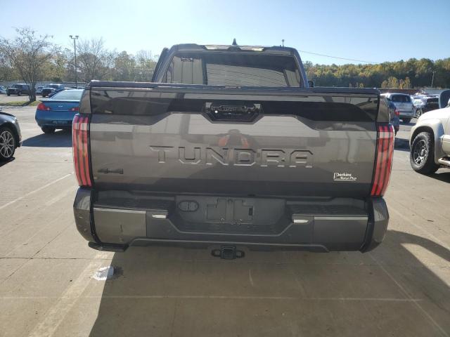 Toyota Tundra Crewmax Platinum Image 7