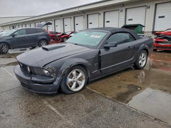  Salvage Ford Mustang