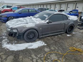  Salvage Ford Mustang