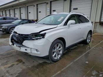  Salvage Lexus RX