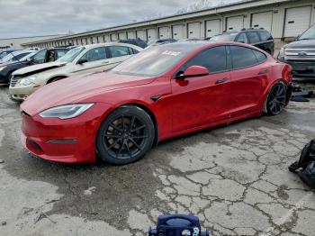  Salvage Tesla Model S