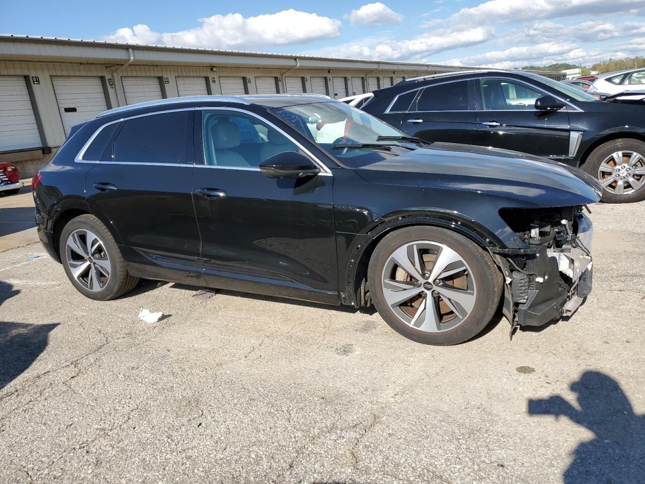 Audi Q8 Premium Plus Image 6