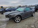 Ford Mustang Gt Image 1