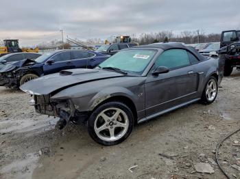  Salvage Ford Mustang