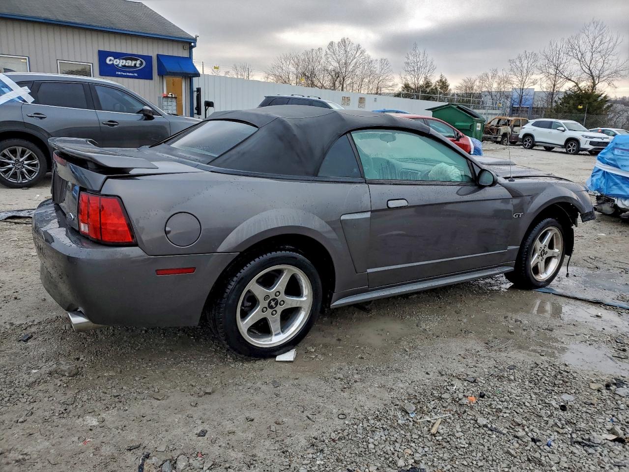 Ford Mustang Gt Image 11