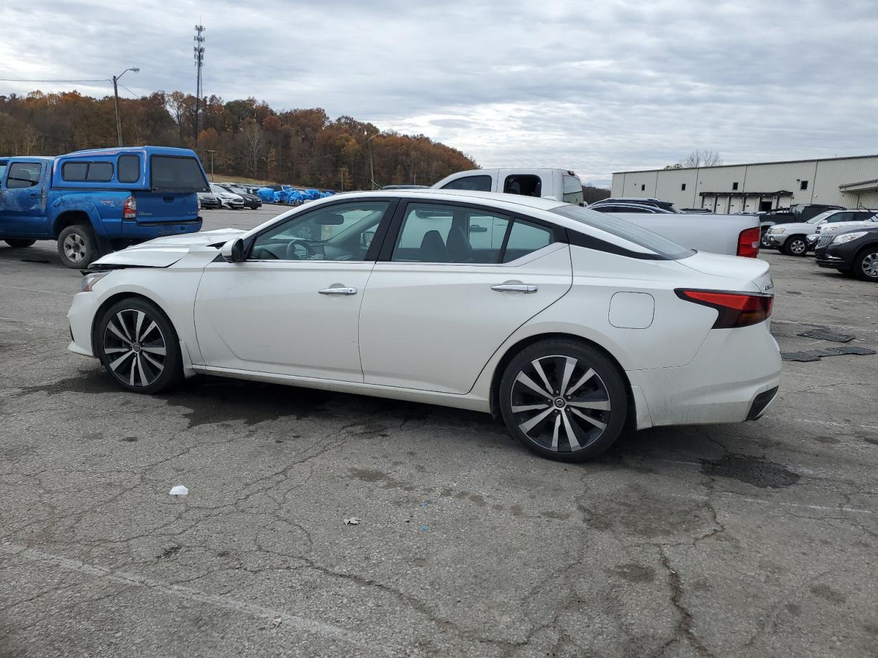 Nissan Altima Platinum Image 6