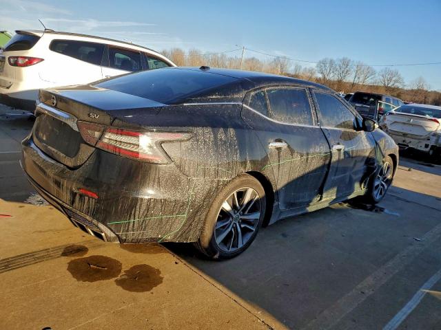 Nissan Maxima Sv Image 7