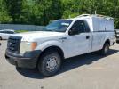 Ford F-150 Image 1