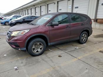  Salvage Honda Crv