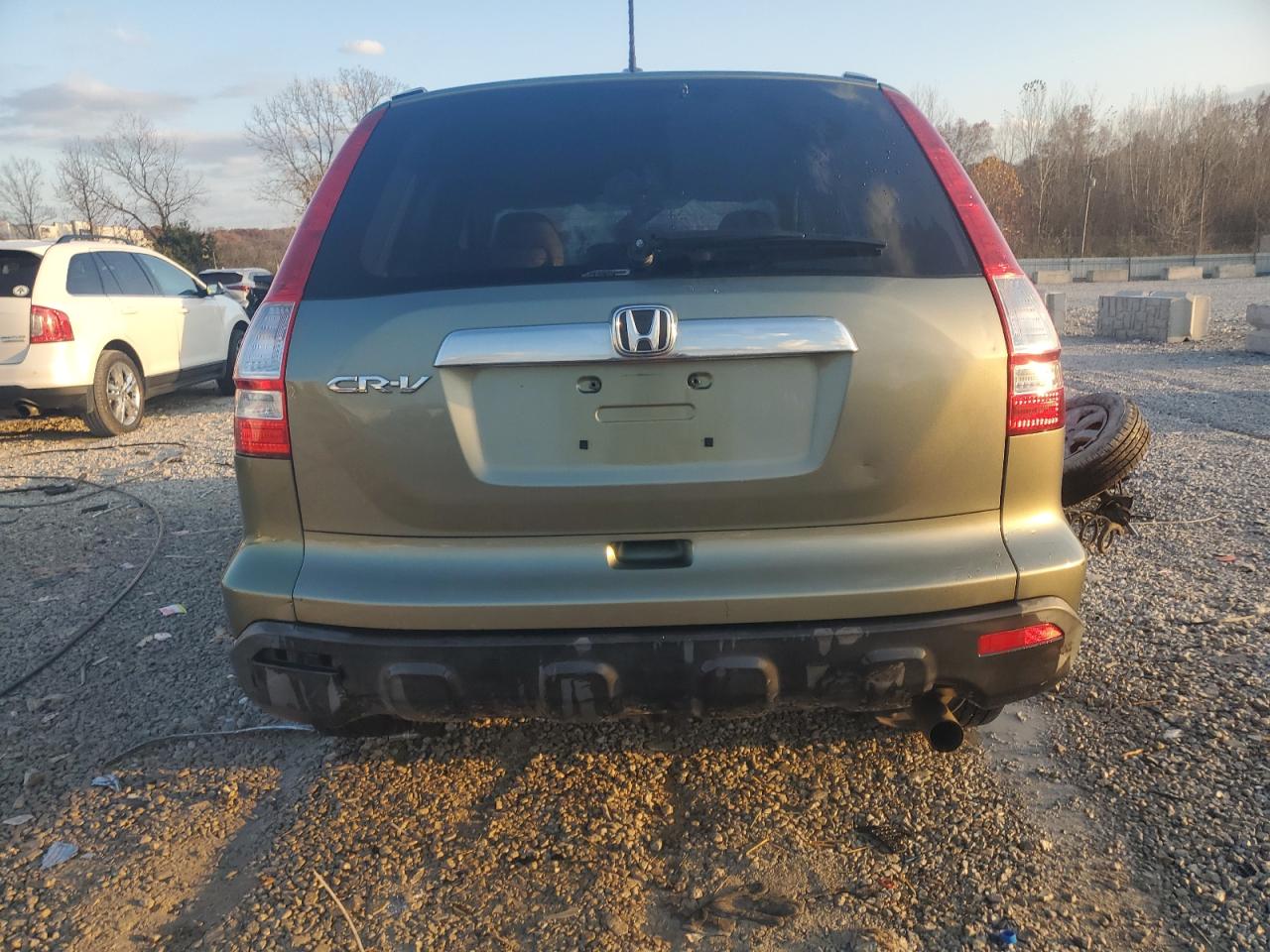 Honda Crv Exl Image 3
