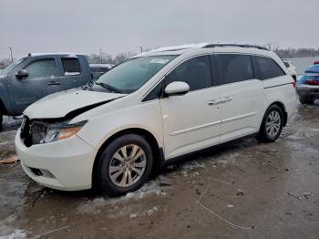 Salvage Honda Odyssey