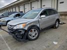Honda Crv Exl Image 1