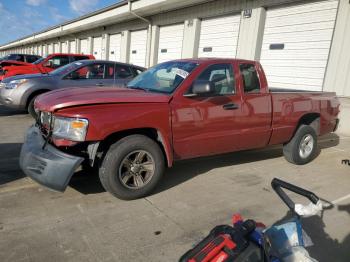 Salvage Dodge Dakota