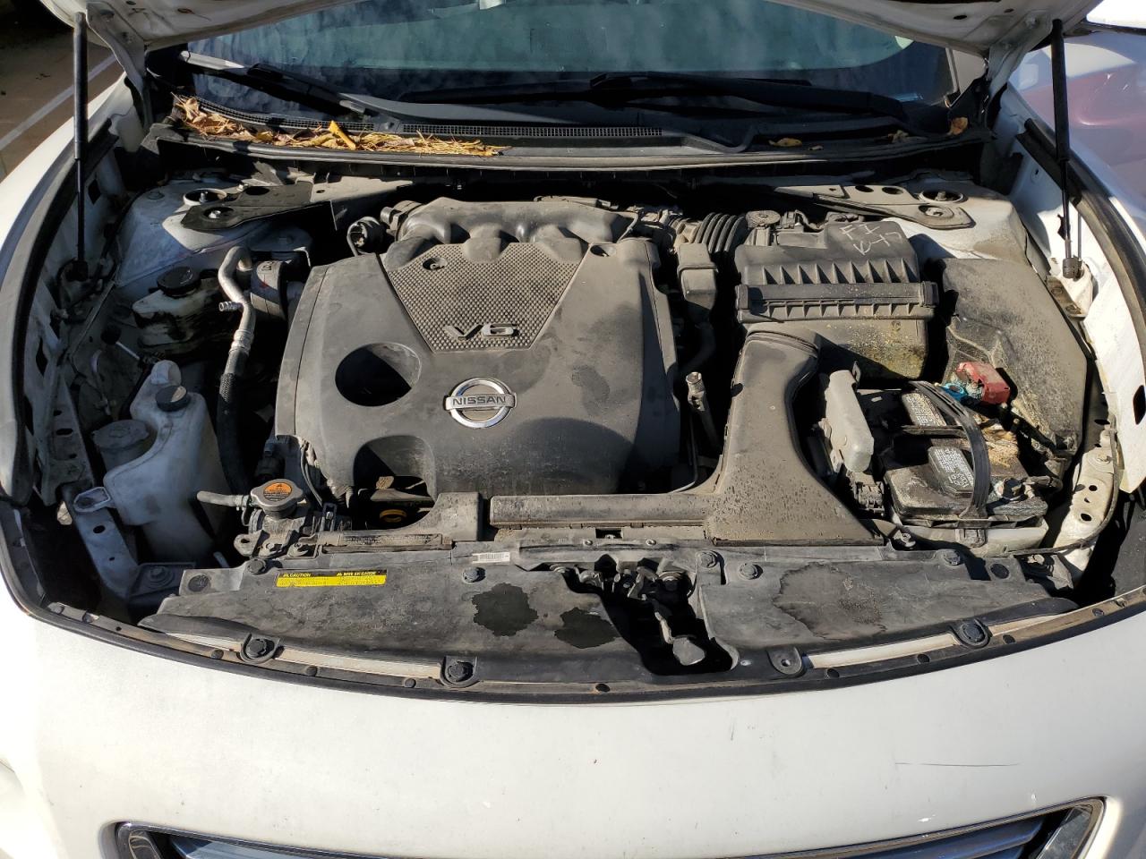 Nissan Maxima S Image 3