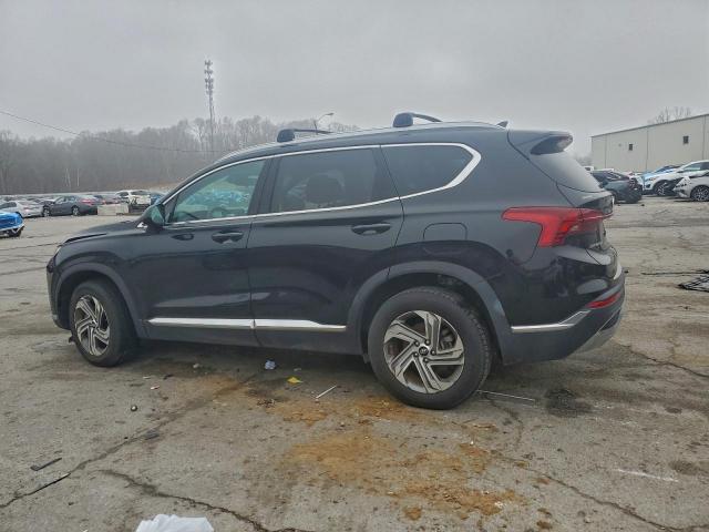 Hyundai SANTA FE Sel Image 4