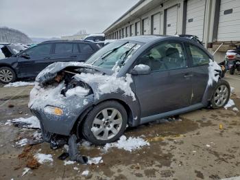  Salvage Volkswagen Beetle