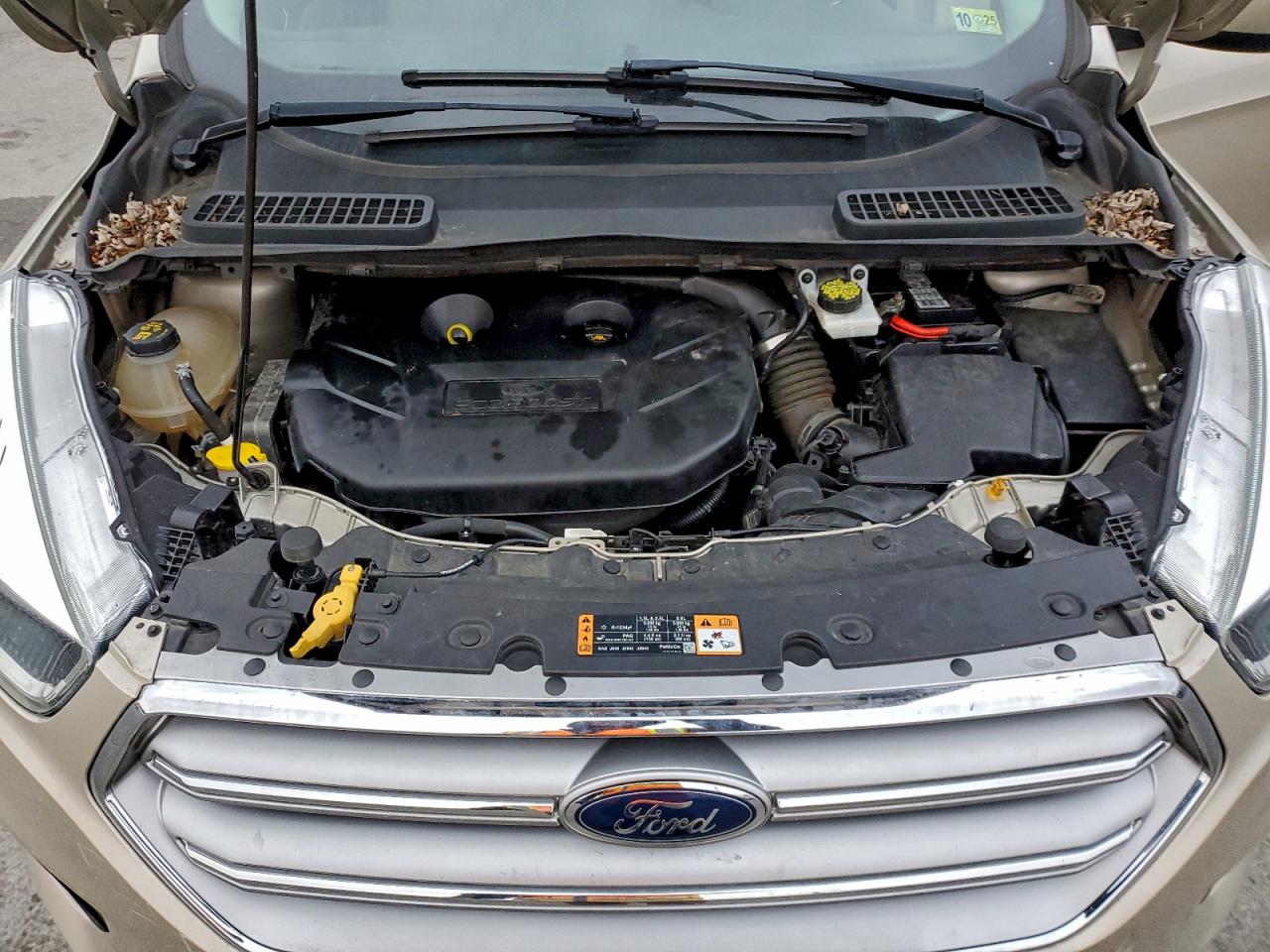 Ford Escape Se Image 9